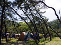 弁天浜キャンプ場